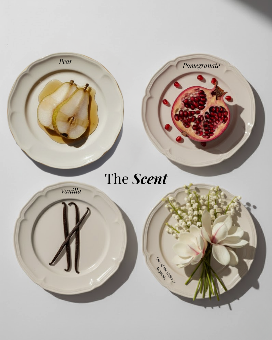 BODYFUME COZY VANILLA